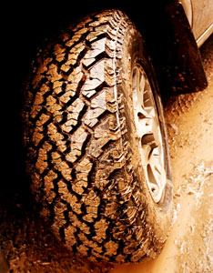 Overuse of ATVs Threatens Backcountry Hunting